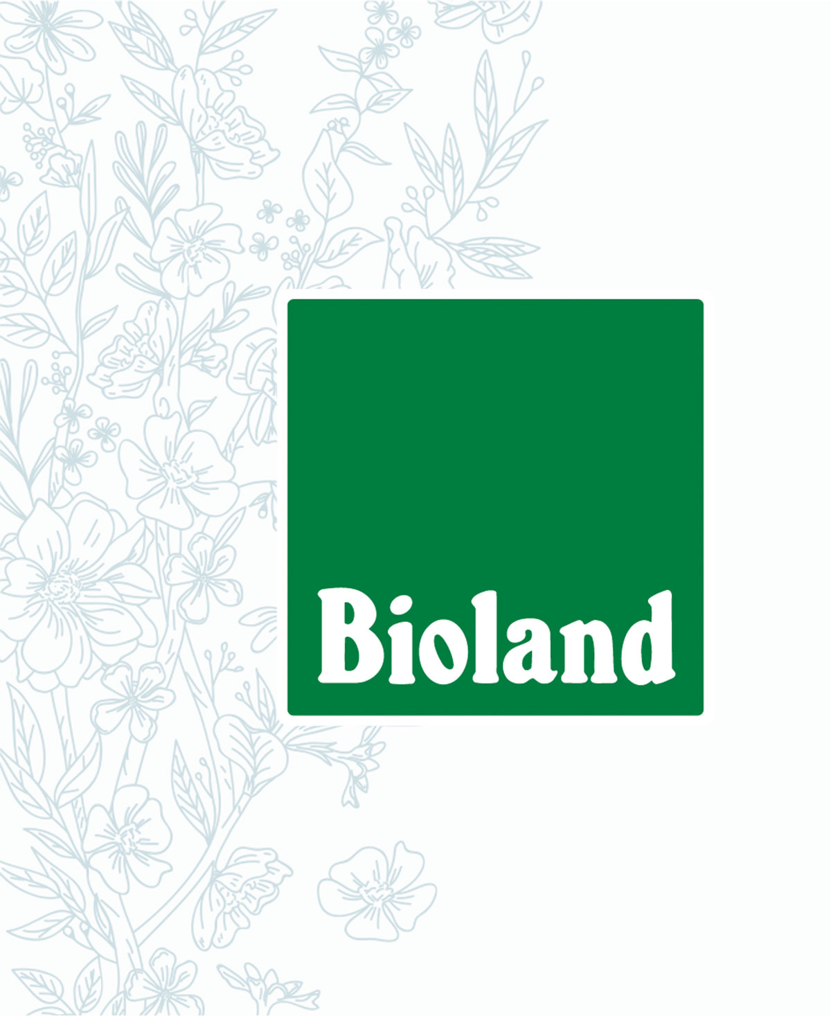 Bienen mieten - Imkern nach Bioland Richtlinien - für das Wohl unserer Bienen - unser Produkt: Bio Honig aus deutscher Landwirtschaft DE-ÖKO-006