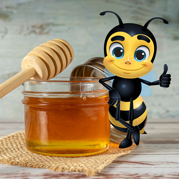 Bienen mieten - Auf den Inhalt kommt es an